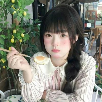 我的朋友是萌鲨