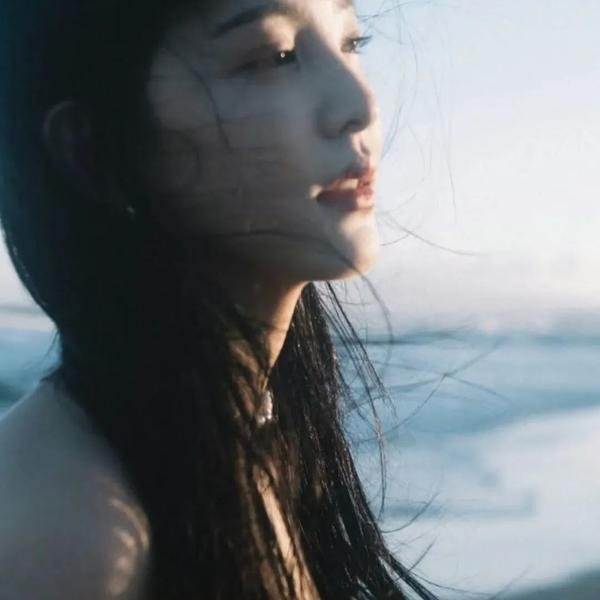 冰海鲸舟